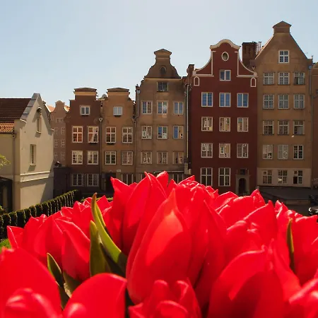 Grand Tourist Gemini Ii Apartman