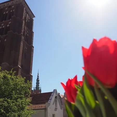 Grand Tourist Gemini Ii Gdańsk