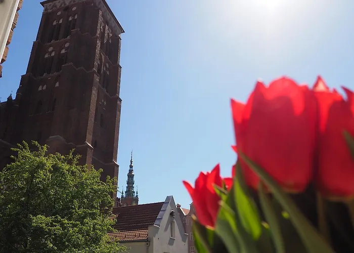 Grand Tourist Gemini Ii Gdańsk